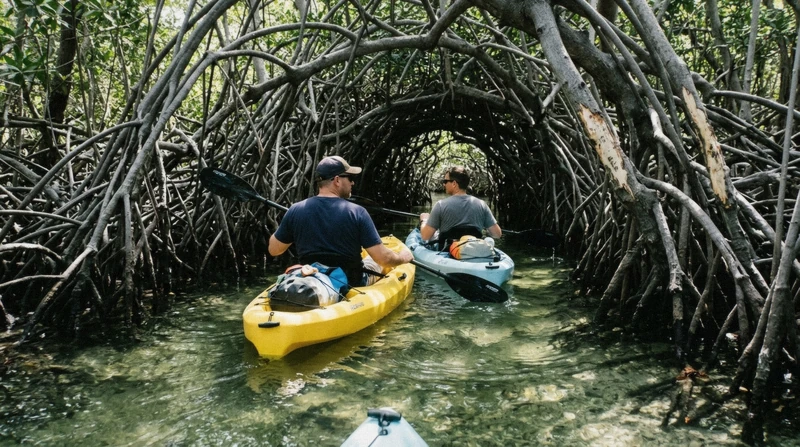 Guided kayak group entering a shaded red-mangrove tunnel on a kayak mangroves Sarasota tour at South Lido Park, Florida