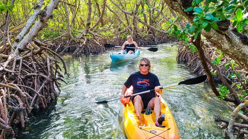 Stand-up paddleboarder and kayakers in a mangrove channel on a kayak mangroves Sarasota tour at Lido Key, Florida